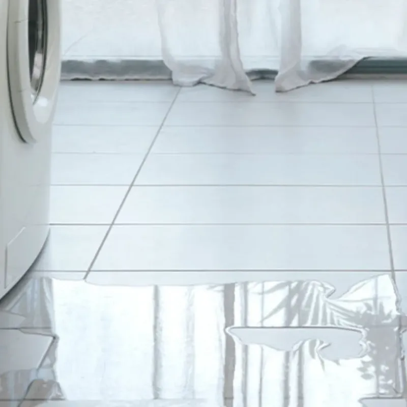 Appliance Leak Cleanup in Grafton, OH