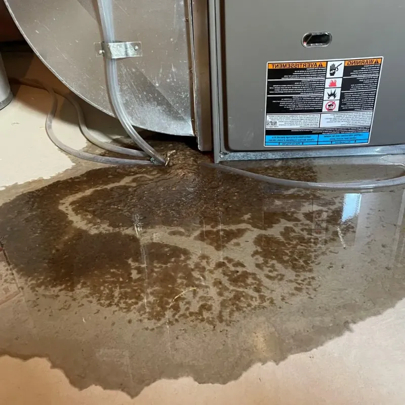 Pipe Burst and Leak Restoration in Grafton, OH